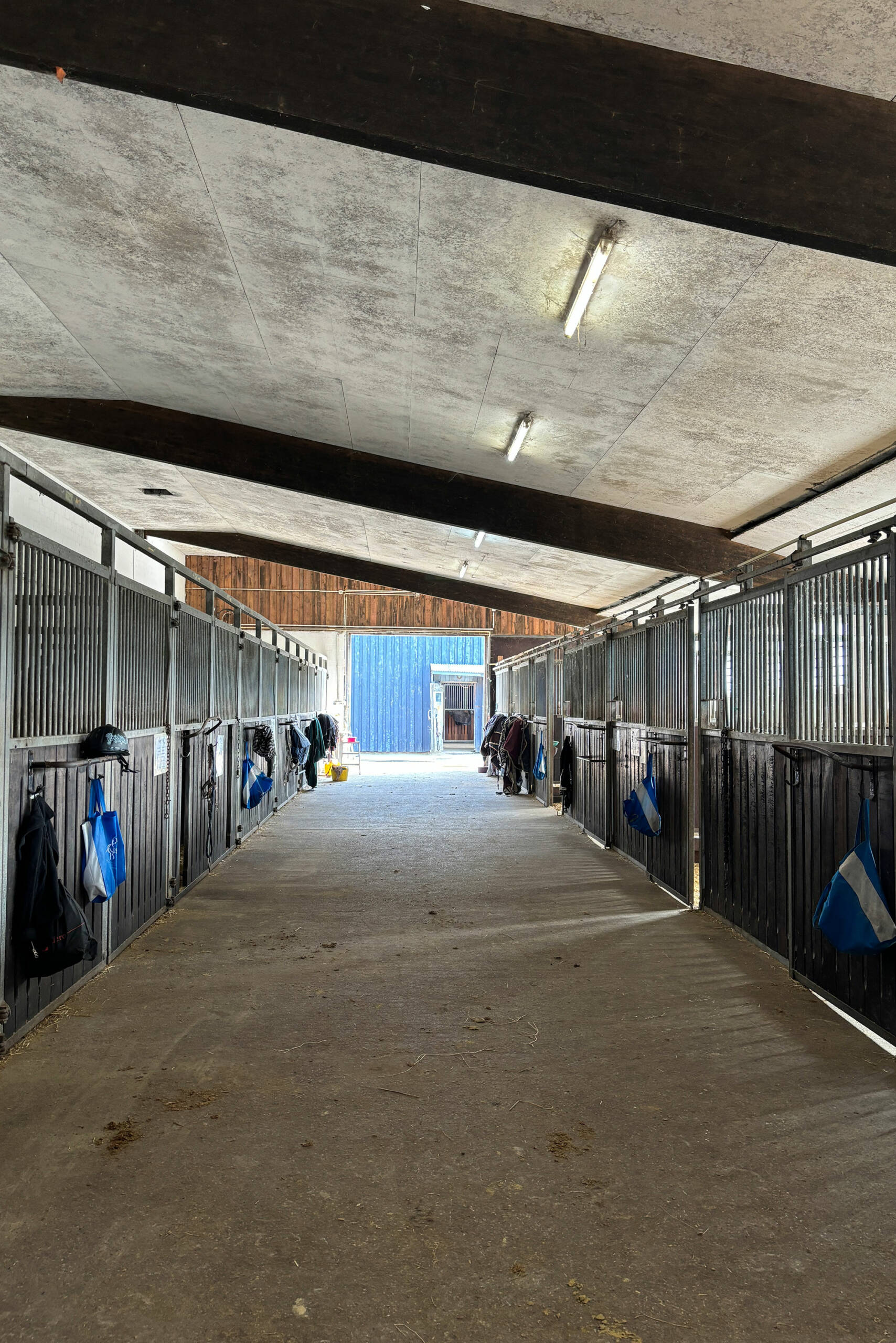 Strandhotel Hohenzollern Borkum reiten