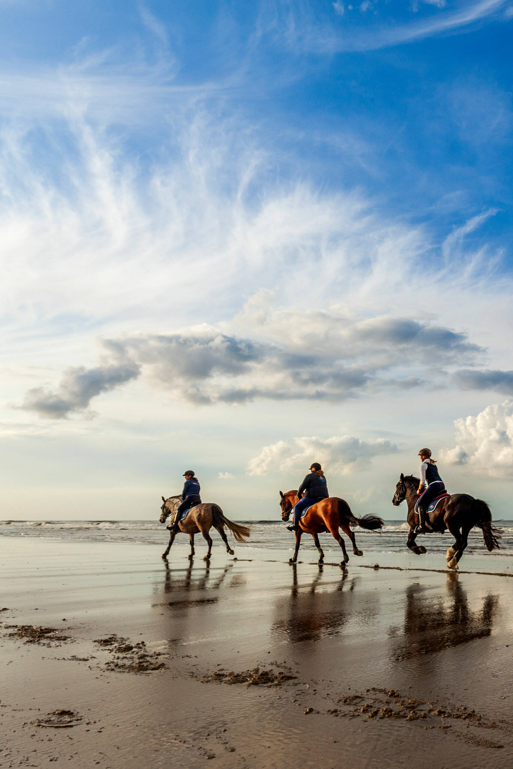 Strandhotel Hohenzollern Borkum reiten